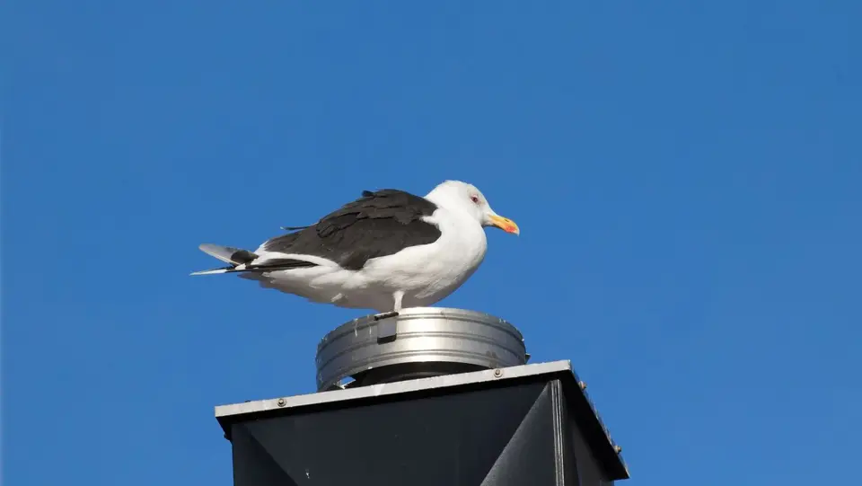 2024Norwegen0483.jpg