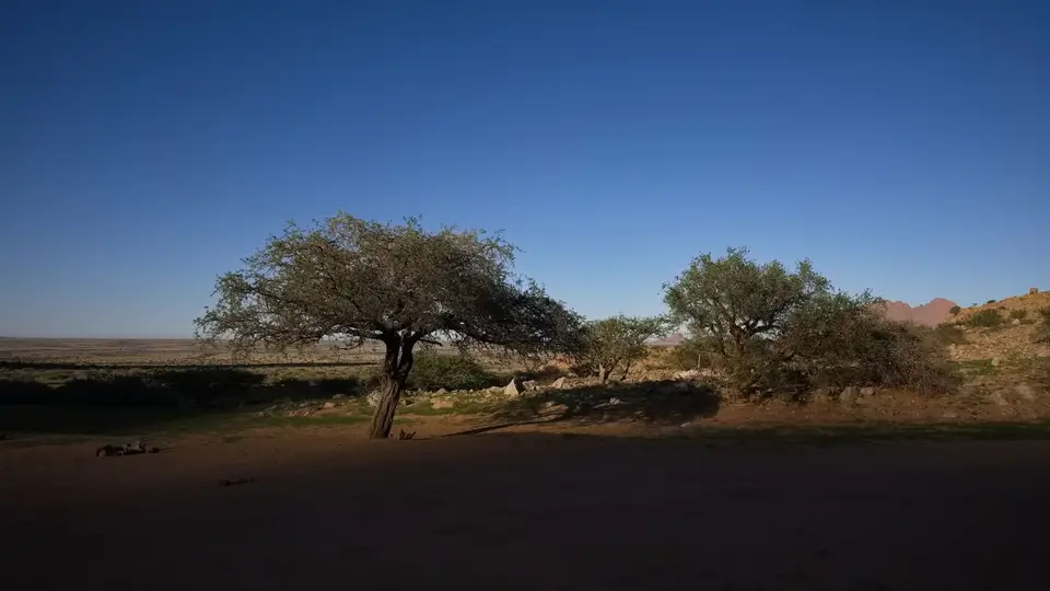 2025NamibiaSA0271.jpg