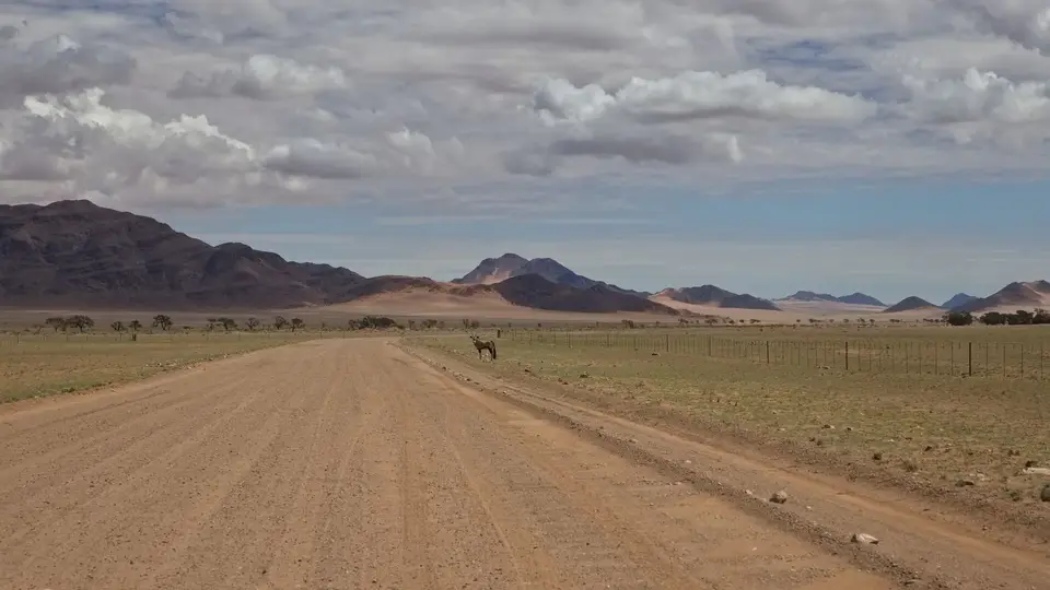 2025NamibiaSA0379.jpg
