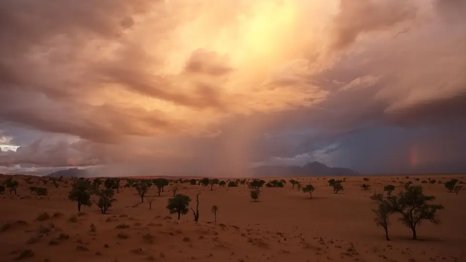 2025NamibiaSA0550_1.jpg