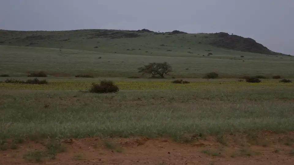 2025NamibiaSA0606.jpg