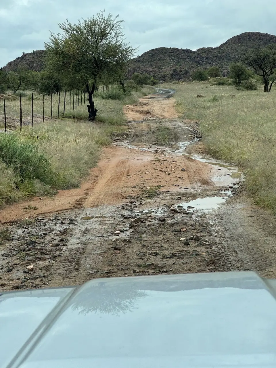 2025NamibiaSA0687.jpg