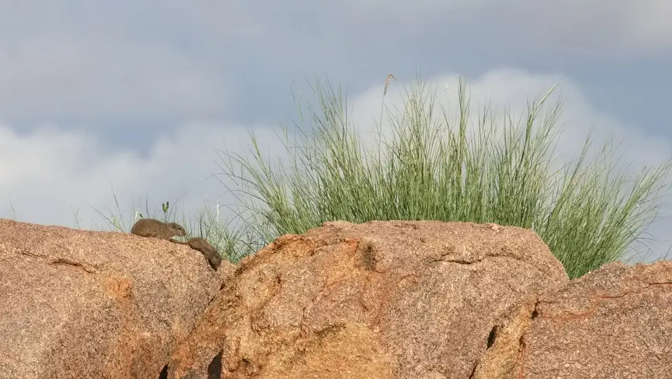 2025NamibiaSA0708.jpg