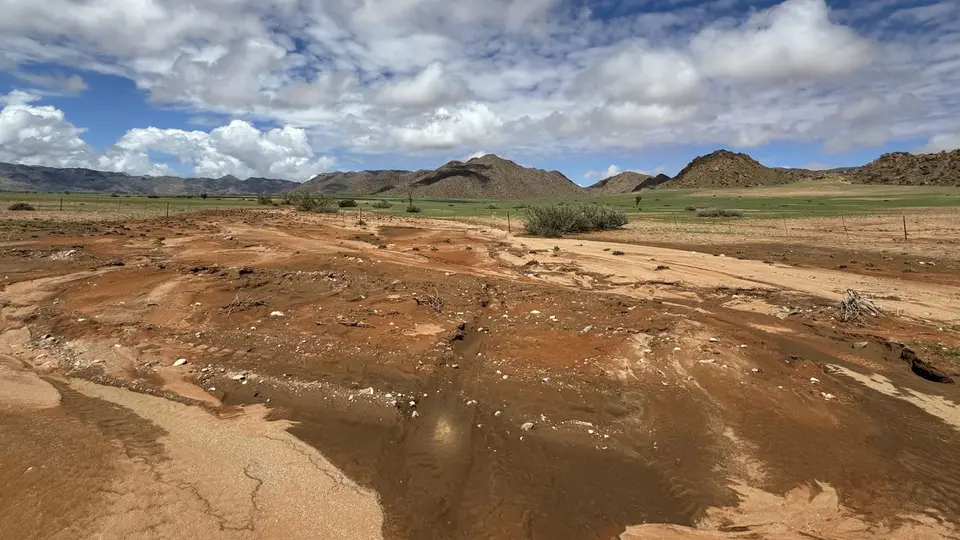 2025NamibiaSA0802.jpg
