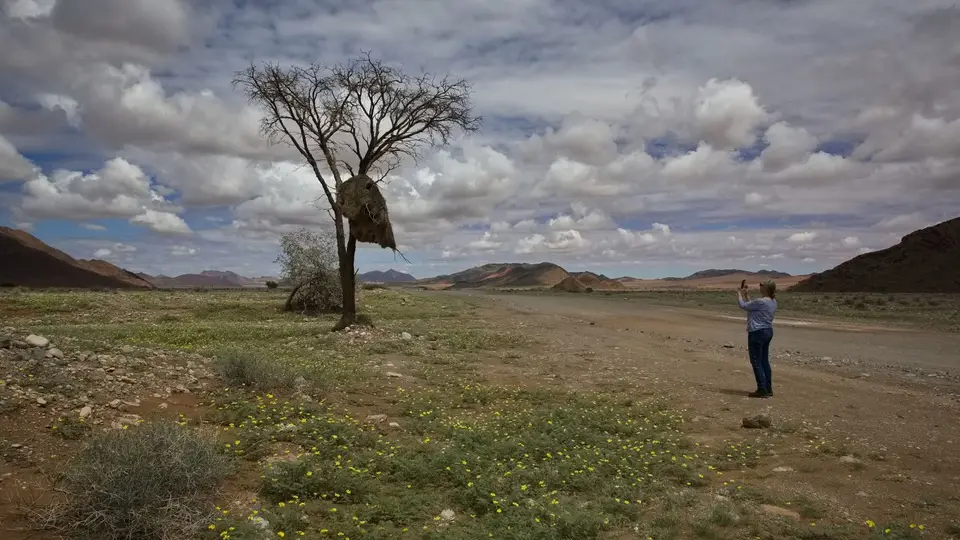 2025NamibiaSA0833.jpg