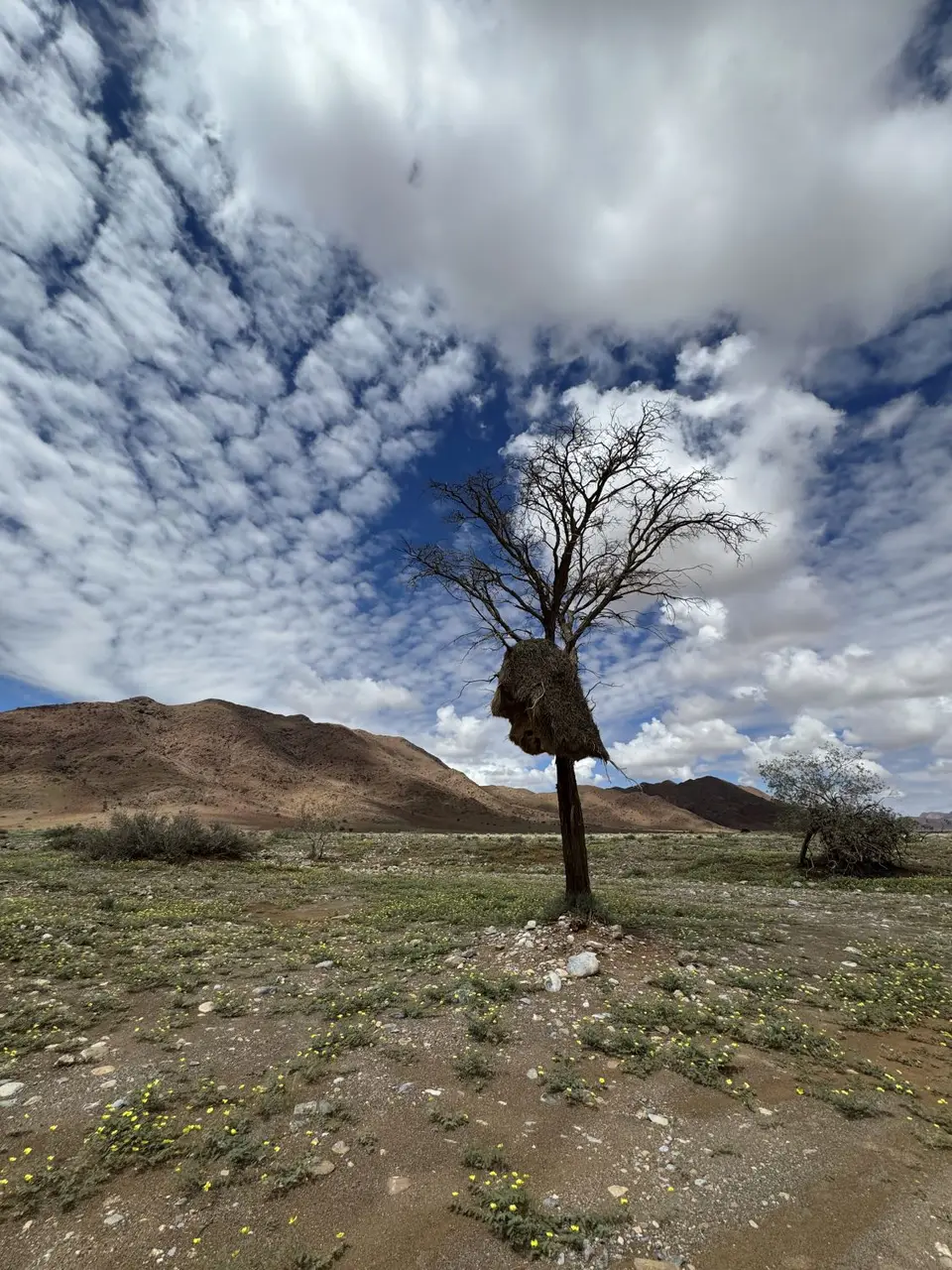 2025NamibiaSA0834.jpg