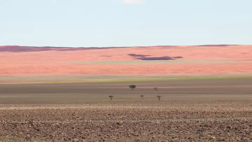 2025NamibiaSA0863.jpg