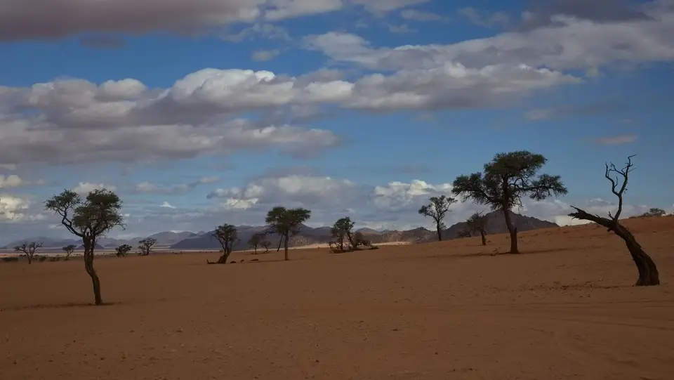 2025NamibiaSA0899.jpg