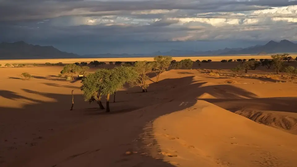 2025NamibiaSA0911_1.jpg