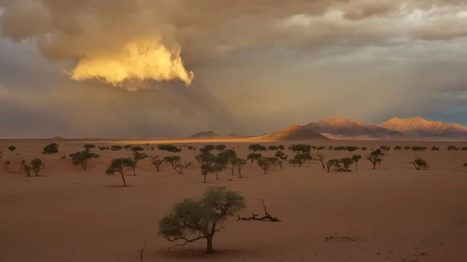 2025NamibiaSA0929_1.jpg
