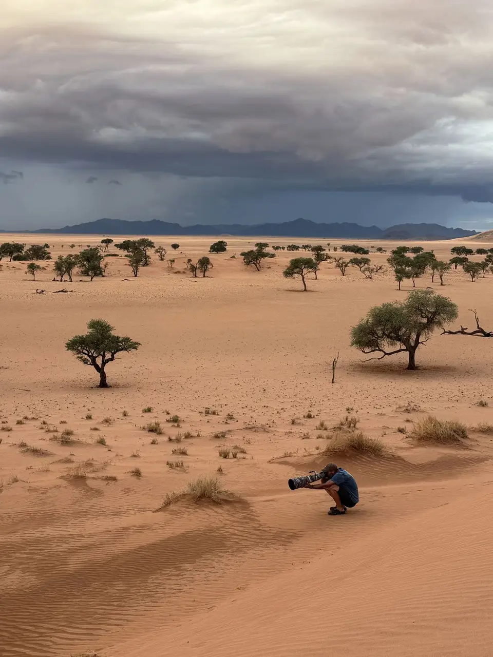 2025NamibiaSA0932.jpg