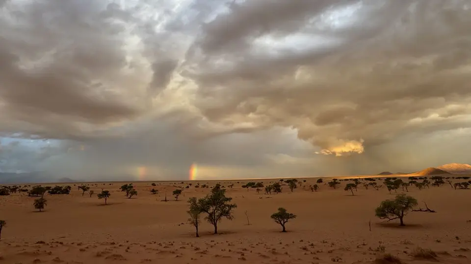 2025NamibiaSA0973.jpg