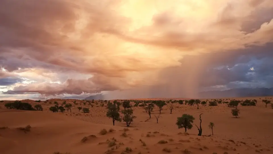 2025NamibiaSA0990.jpg