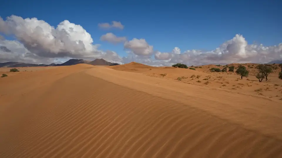 2025NamibiaSA0992.jpg