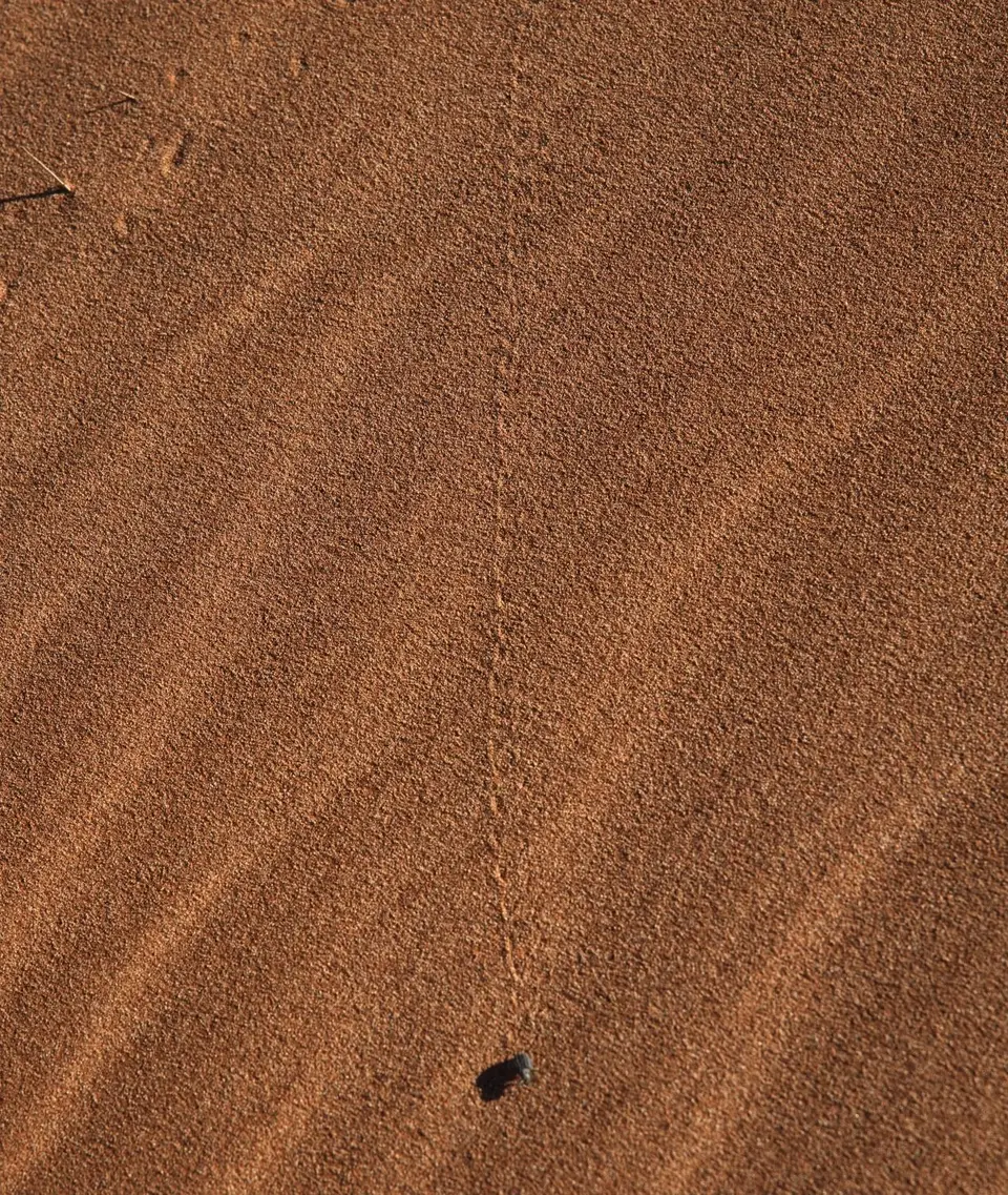 2025NamibiaSA0994_1.jpg
