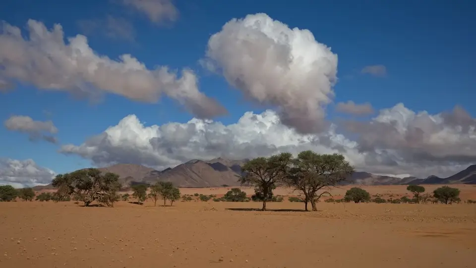 2025NamibiaSA1002_1.jpg