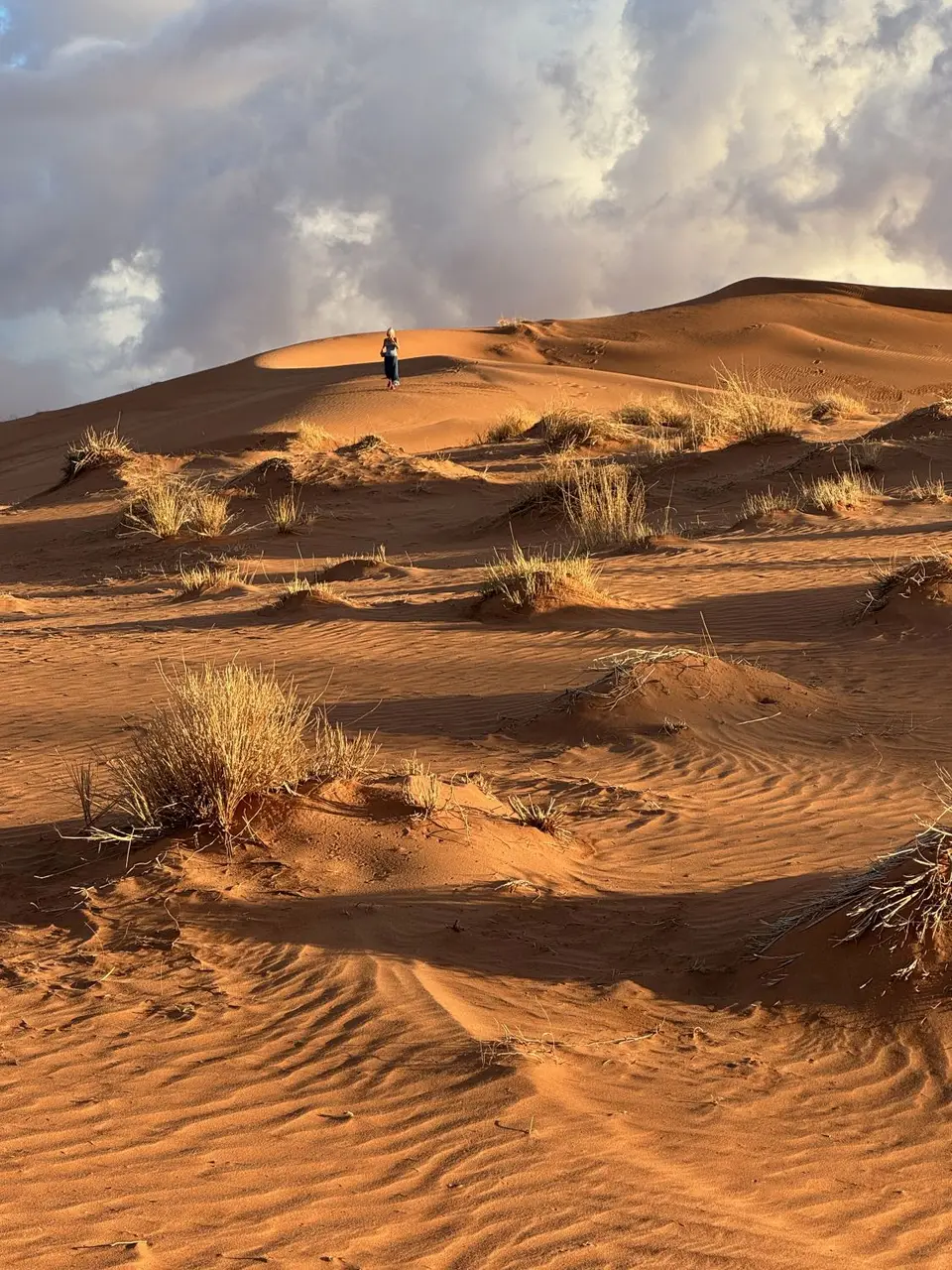 2025NamibiaSA1029.jpg