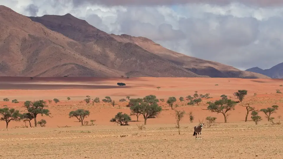 2025NamibiaSA1041.jpg