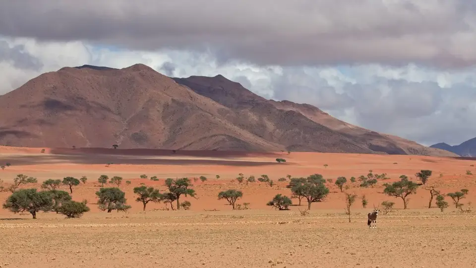 2025NamibiaSA1042.jpg
