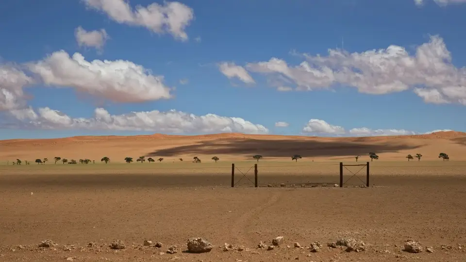 2025NamibiaSA1088.jpg