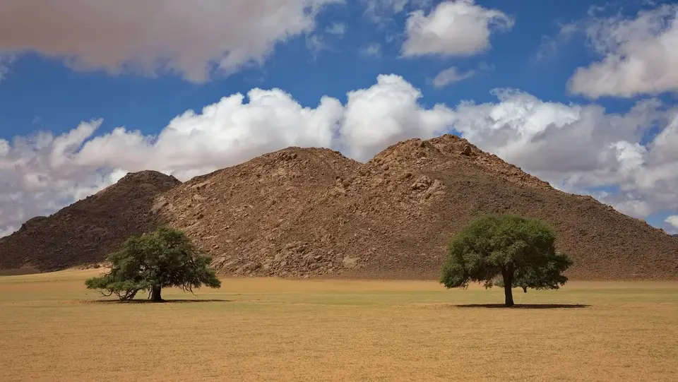 2025NamibiaSA1095.jpg