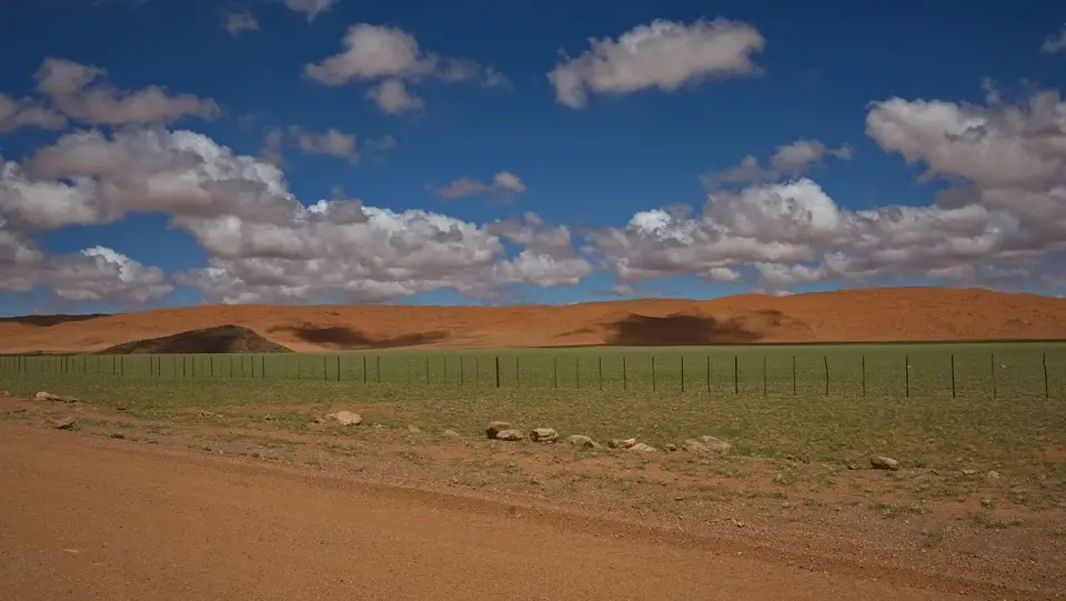 2025NamibiaSA1107.jpg