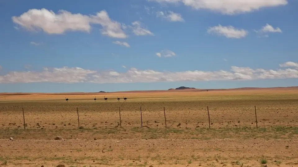 2025NamibiaSA1127.jpg