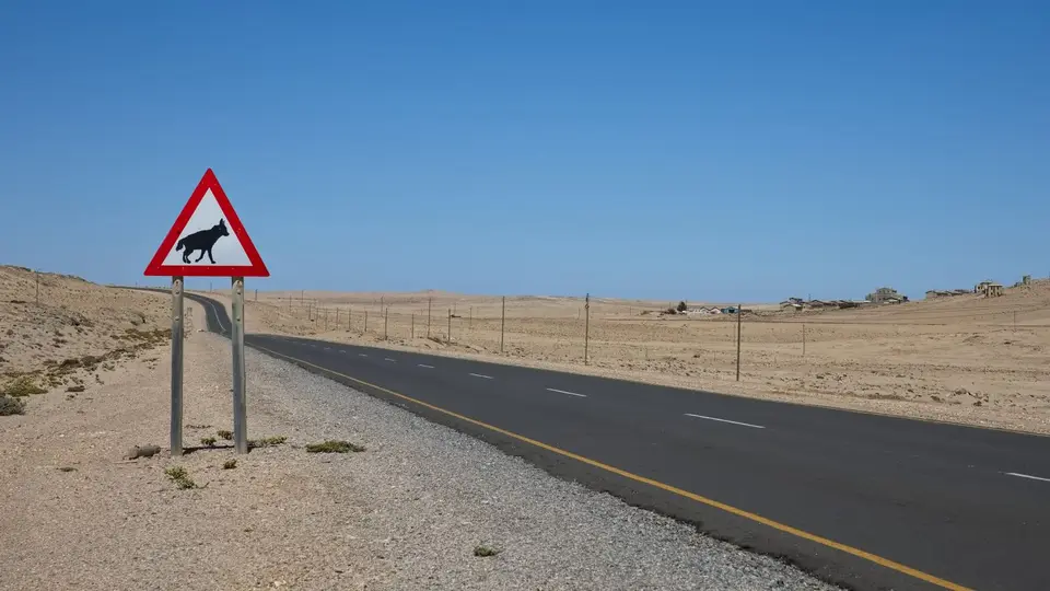 2025NamibiaSA1653.jpg