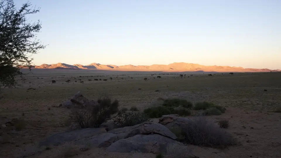 2025NamibiaSA1702.jpg