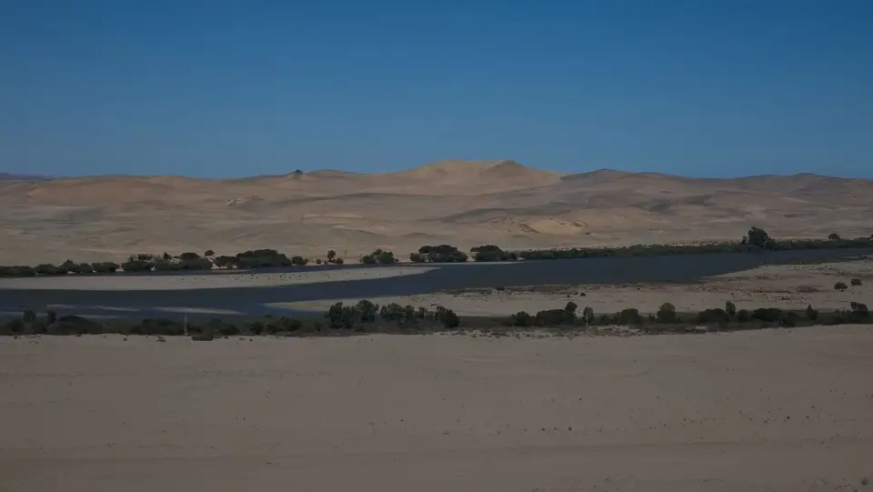 2025NamibiaSA1891.jpg