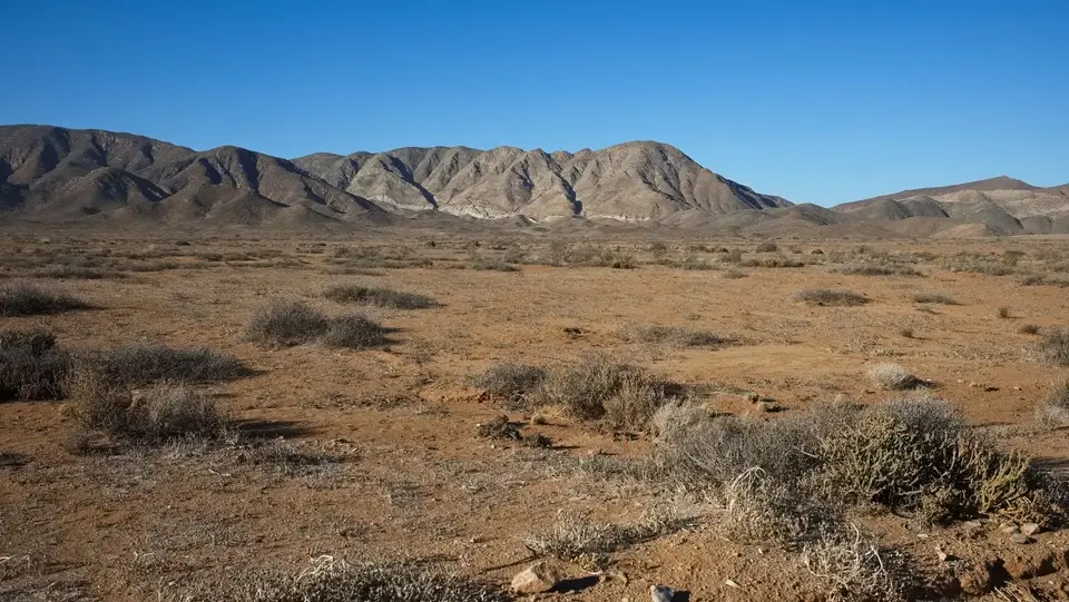 2025NamibiaSA1987.jpg