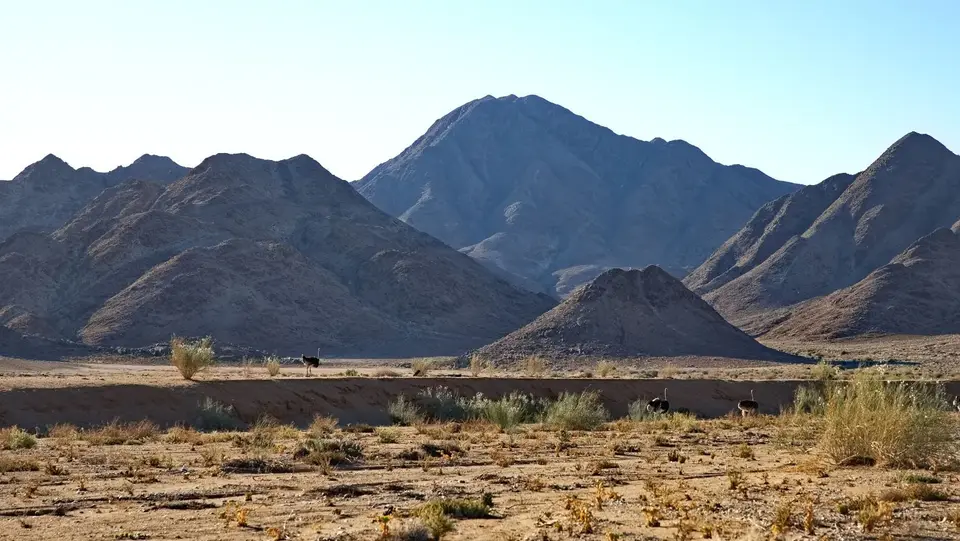 2025NamibiaSA2000.jpg