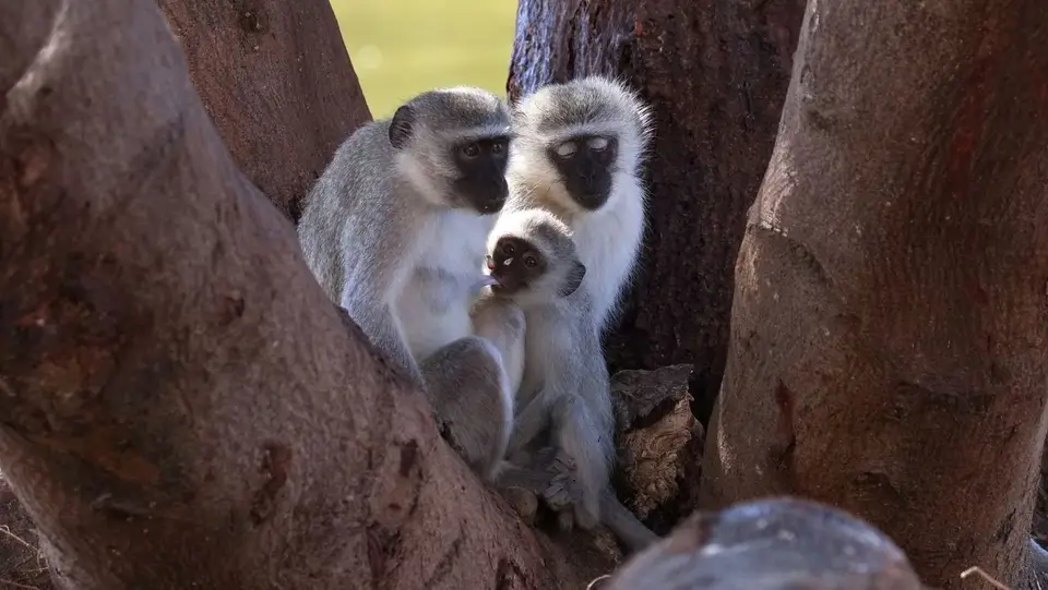 2025NamibiaSA2109.jpg