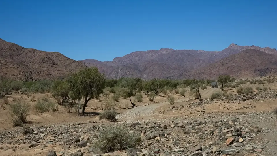2025NamibiaSA2272.jpg