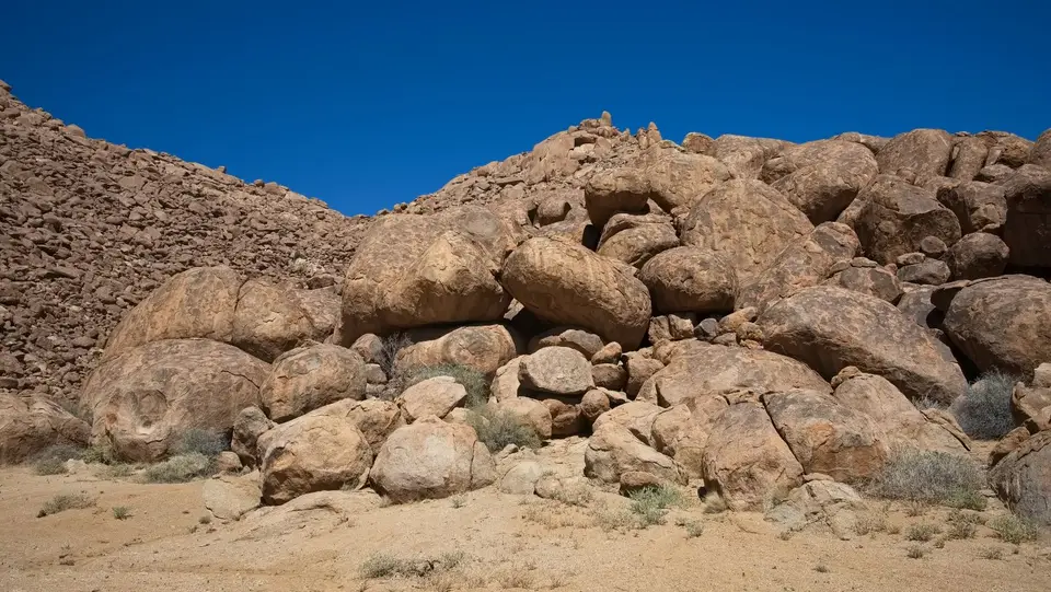 2025NamibiaSA2462.jpg