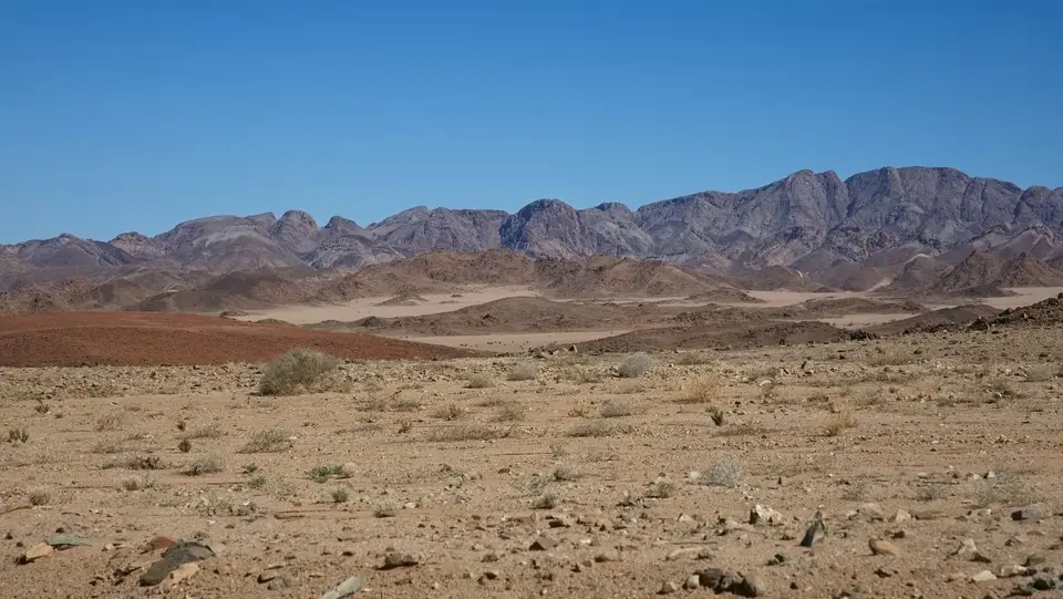 2025NamibiaSA2582.jpg