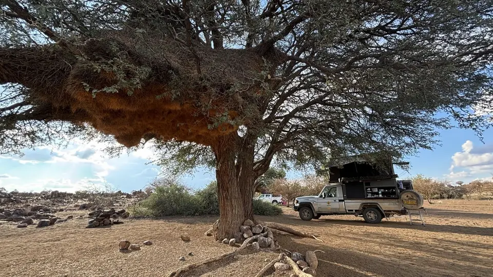 2025NamibiaSA2586.jpg