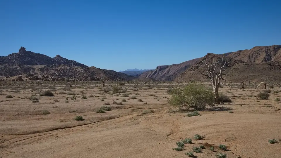 2025NamibiaSA2605.jpg