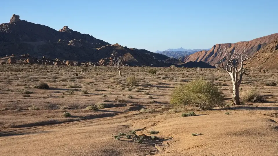 2025NamibiaSA2618.jpg