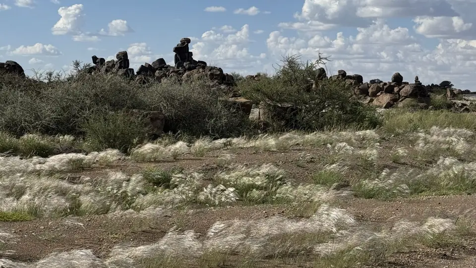 2025NamibiaSA2637.jpg