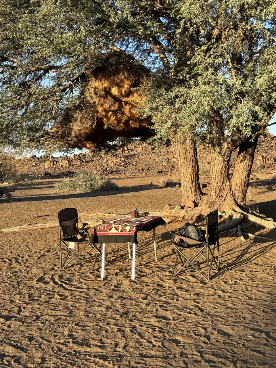 2025NamibiaSA2649.jpg