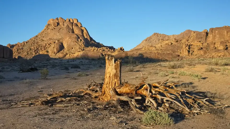 2025NamibiaSA2716.jpg