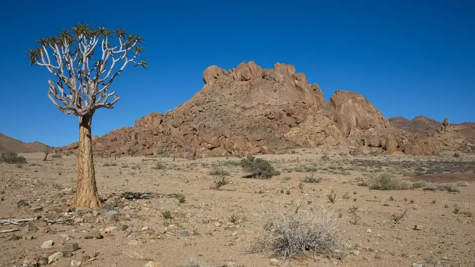 2025NamibiaSA2733.jpg