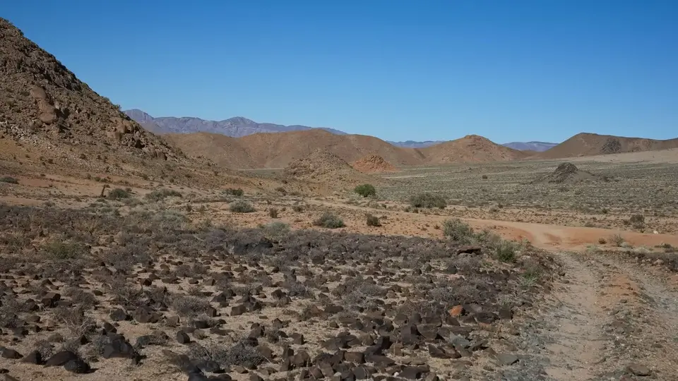 2025NamibiaSA2741.jpg