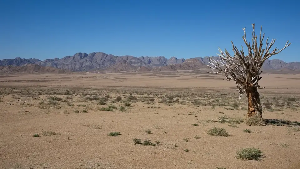 2025NamibiaSA2798.jpg