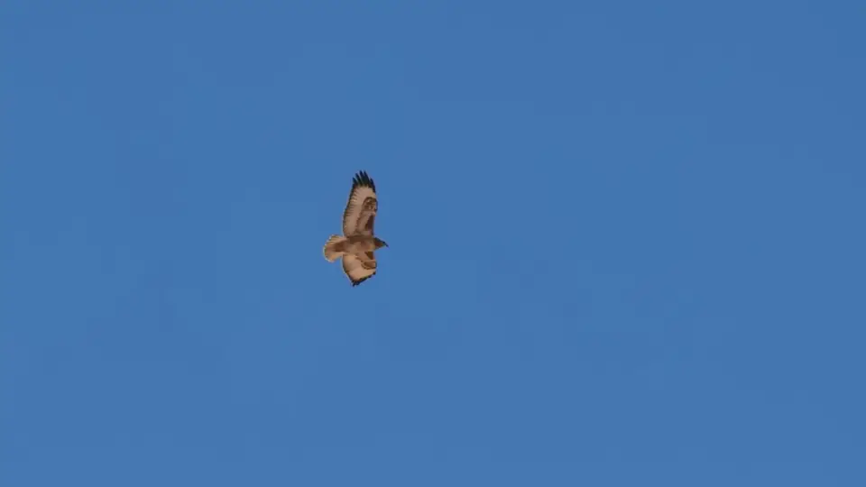 2025NamibiaSA2800.jpg