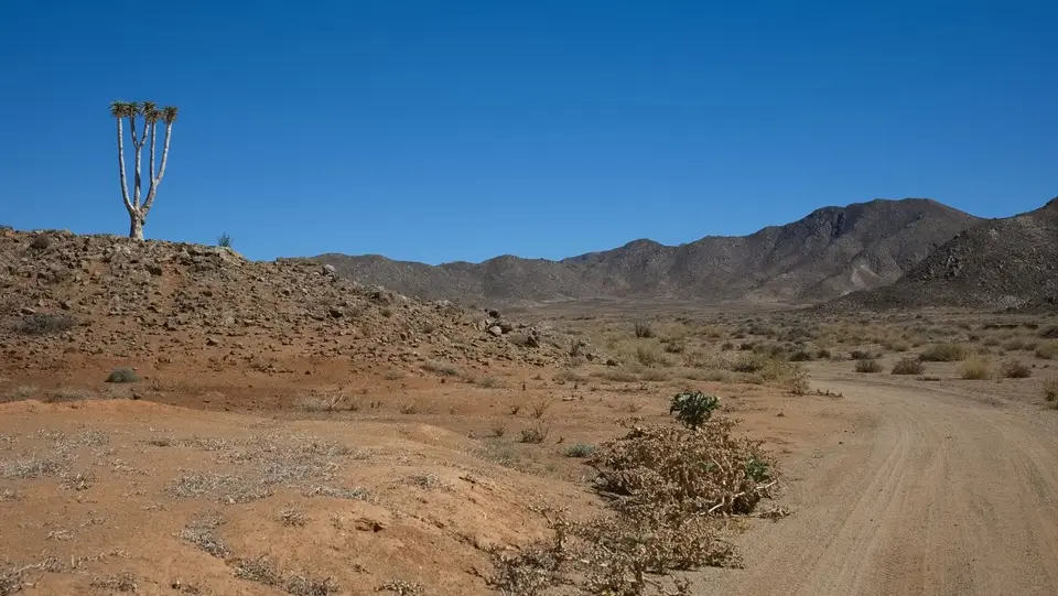 2025NamibiaSA2825.jpg