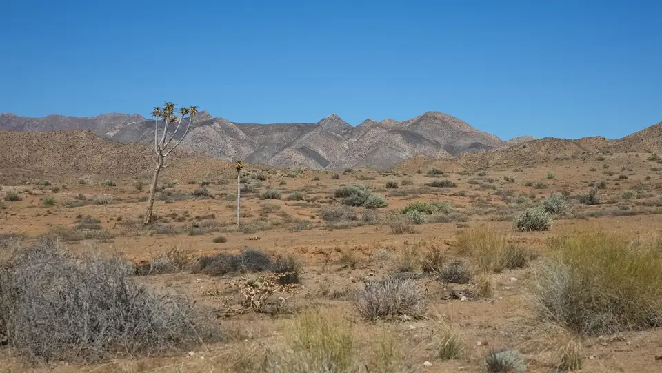 2025NamibiaSA2829.jpg