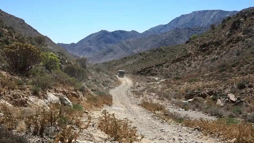 2025NamibiaSA2903.jpg