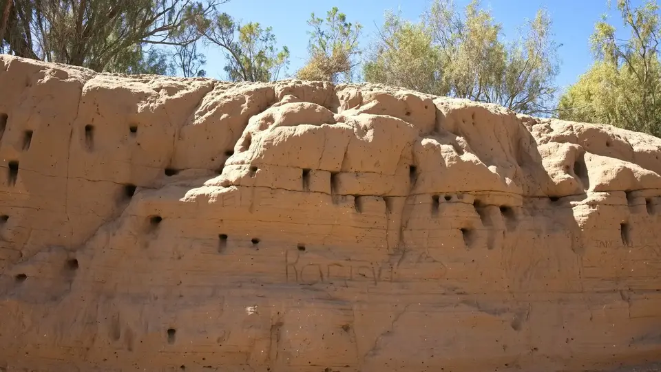 2025NamibiaSA2977.jpg